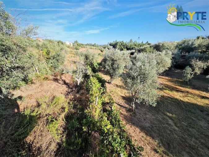 Quinta para Venda em Cabeçudo Foto 15