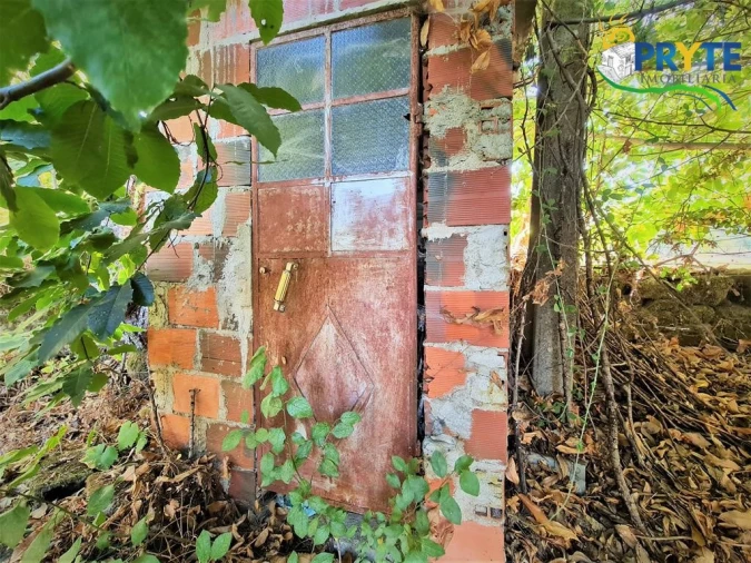 Quinta para Venda em Cabeçudo Foto 31