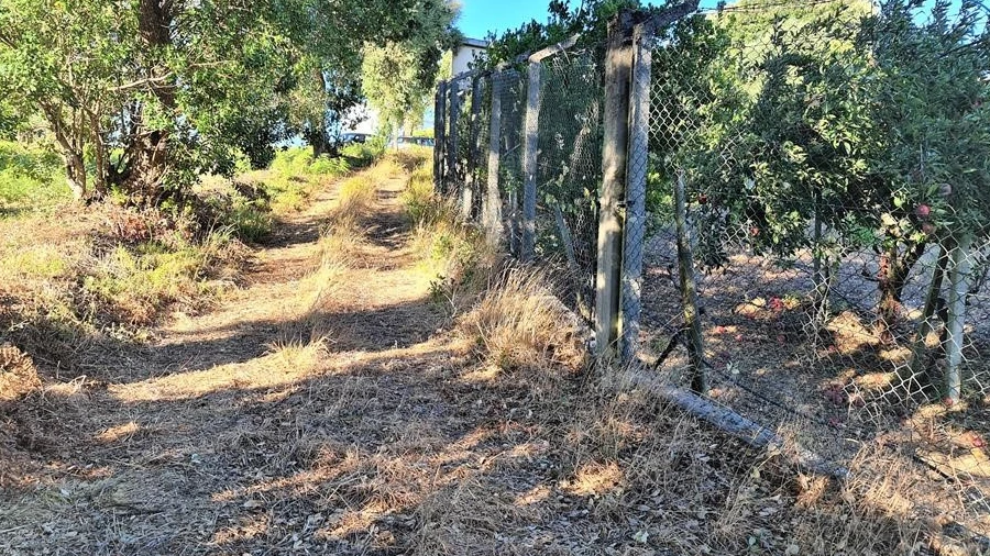 Quinta para Venda em Cabeçudo