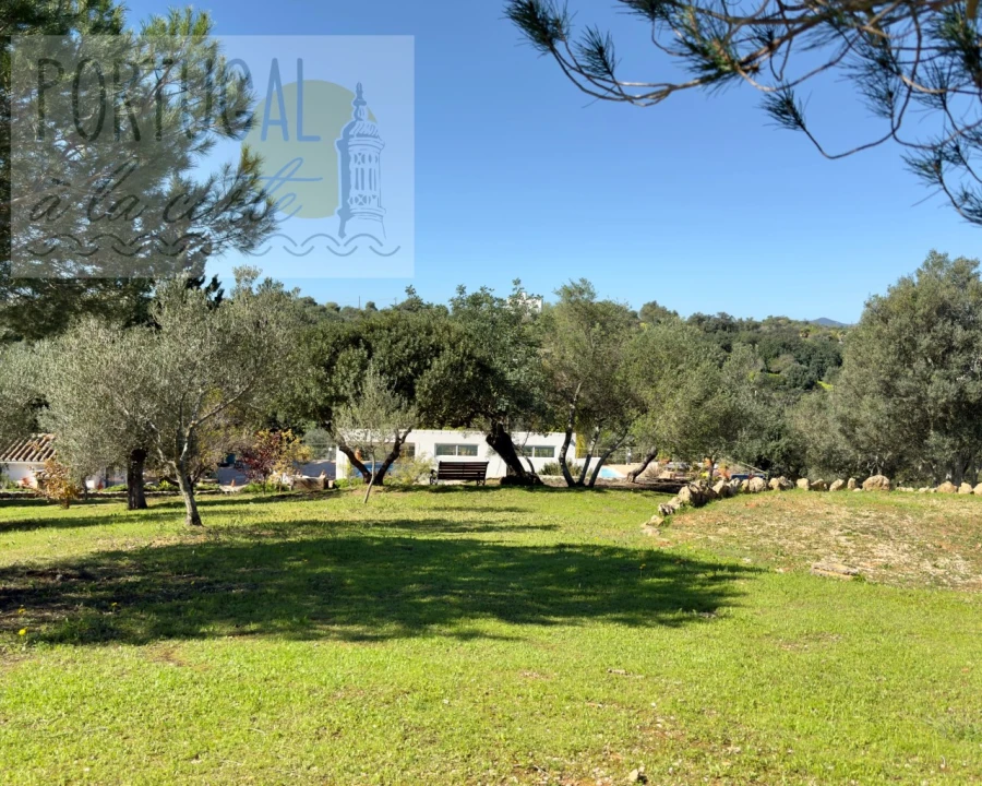 Moradia T5 para Venda em Quelfes Foto 68