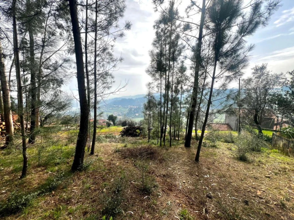 Terreno para Venda em Telões Foto 5
