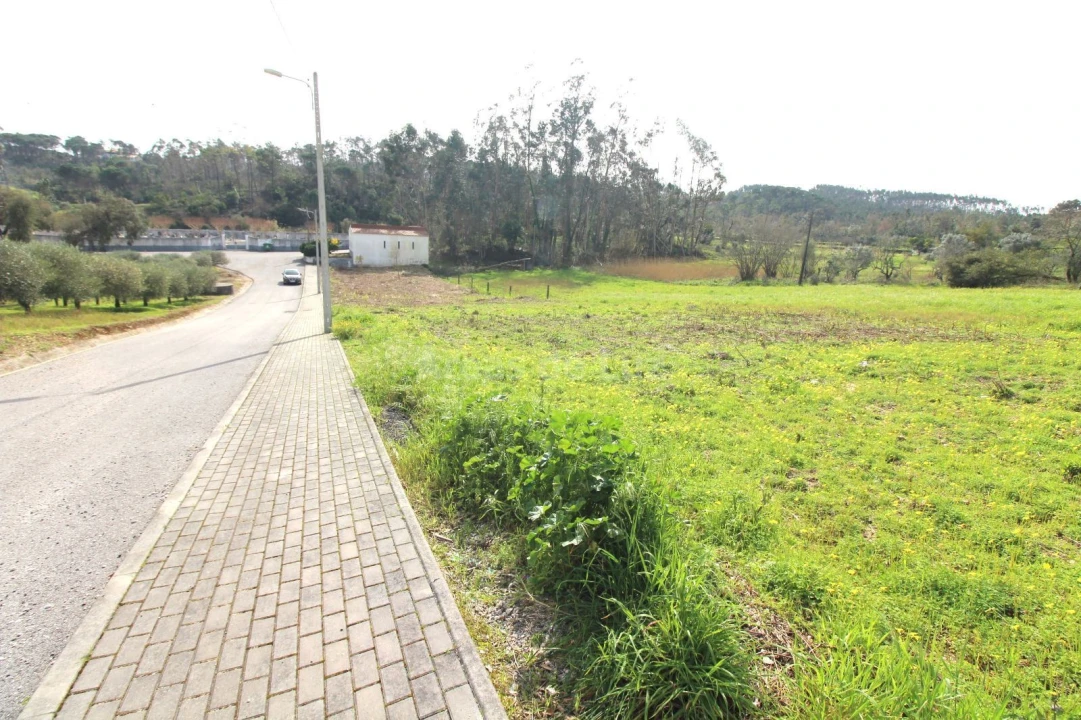 Terreno P/ Prédio para Venda em Parceiros e Azoia Foto 6