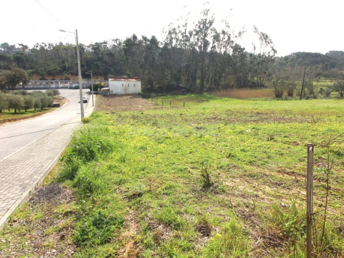 Terreno P/ Prédio para Venda em Parceiros e Azoia Foto 8