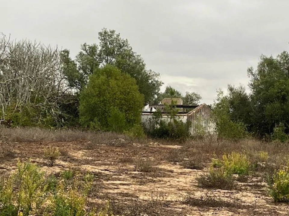 Quinta para Venda em Santo Andre Foto 1