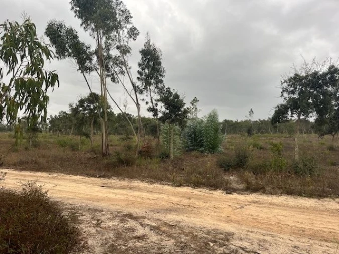 Quinta para Venda em Santo Andre Foto 2