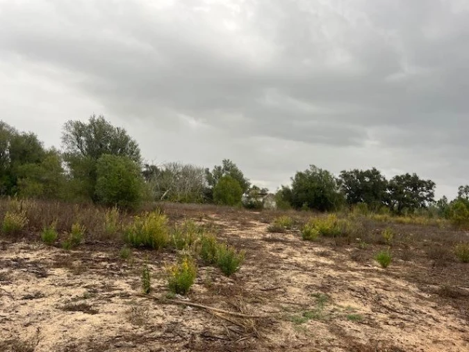 Quinta para Venda em Santo Andre Foto 3