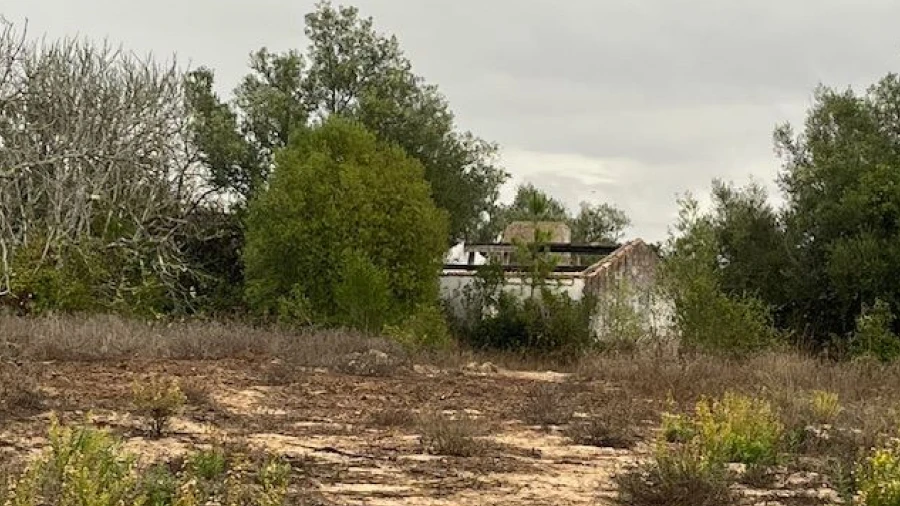 Quinta para Venda em Santo Andre