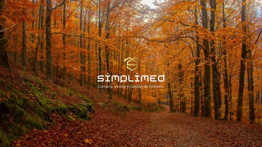 Moradia T4 para Venda em Teixoso e Sarzedo Foto 44