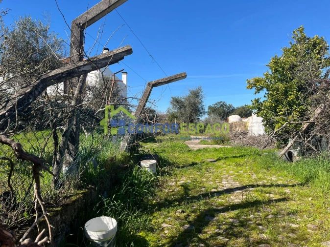 Terreno para Venda em Escalos de Cima e Lousa Foto 5