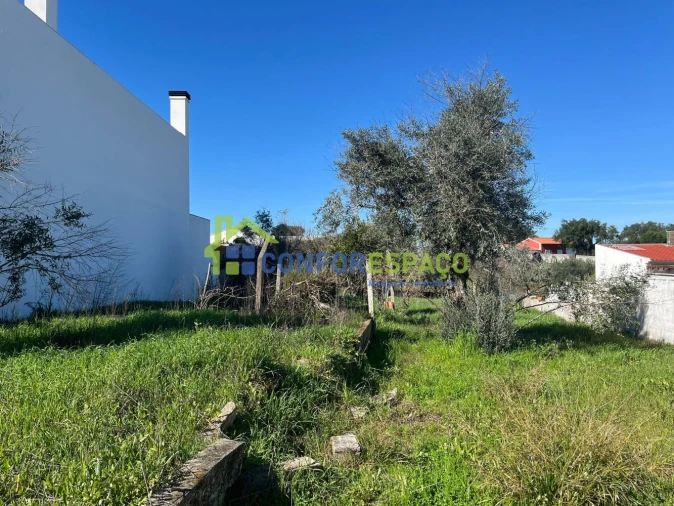 Terreno para Venda em Escalos de Cima e Lousa Foto 4