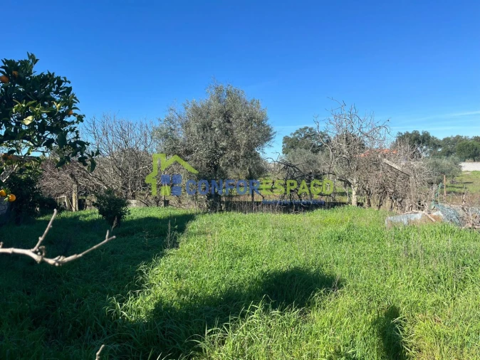Terreno para Venda em Escalos de Cima e Lousa Foto 7