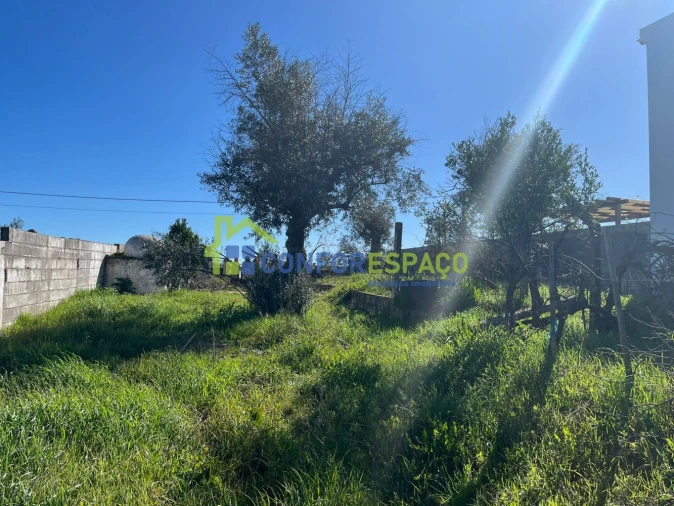 Terreno para Venda em Escalos de Cima e Lousa Foto 10