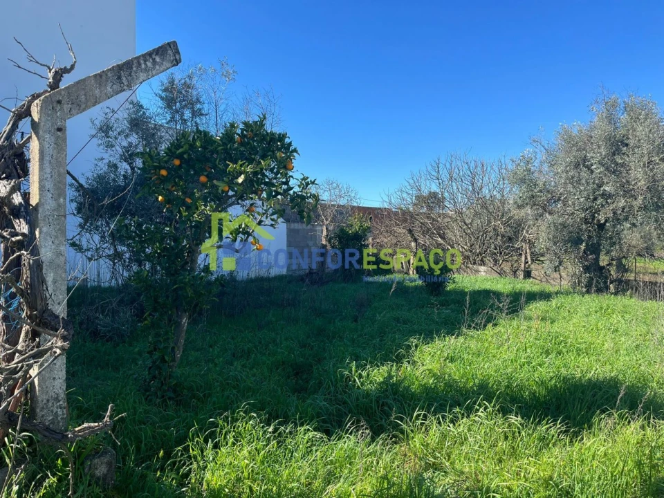Terreno para Venda em Escalos de Cima e Lousa Foto 8