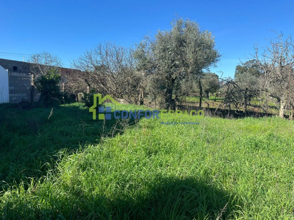 Terreno para Venda em Escalos de Cima e Lousa Foto 9