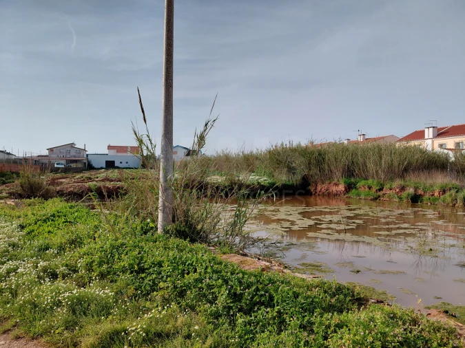 Terreno para Venda em Atouguia da Baleia Foto 5