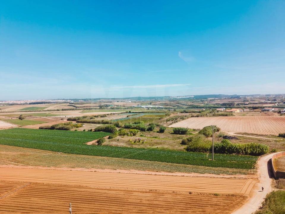 Terreno para Venda em Atouguia da Baleia Foto 10