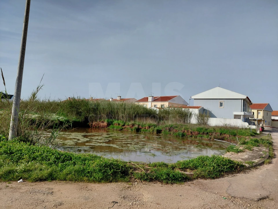 Terreno para Venda em Atouguia da Baleia Foto 6