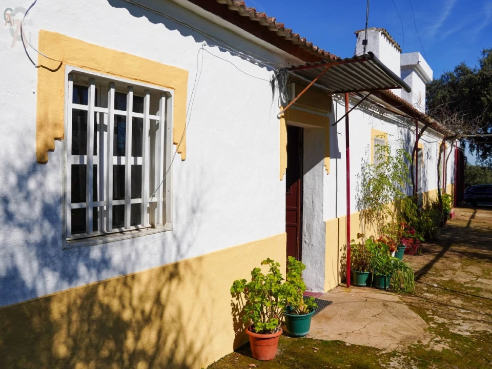 Quinta T2 para Venda em São Bras e São Lourenço Foto 2