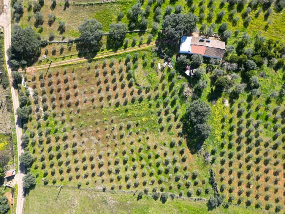 Quinta T2 para Venda em São Bras e São Lourenço Foto 6
