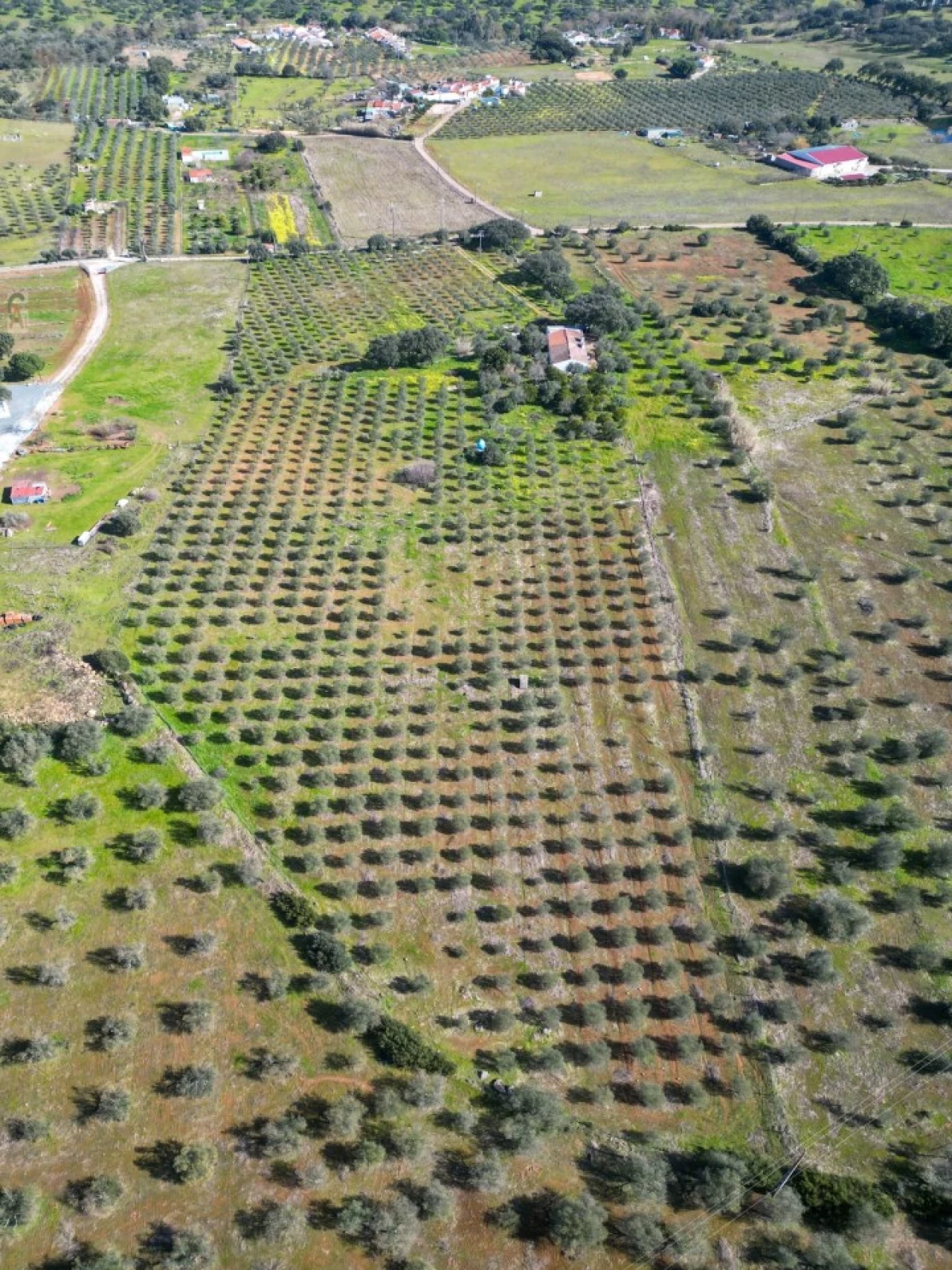 Quinta T2 para Venda em São Bras e São Lourenço Foto 10