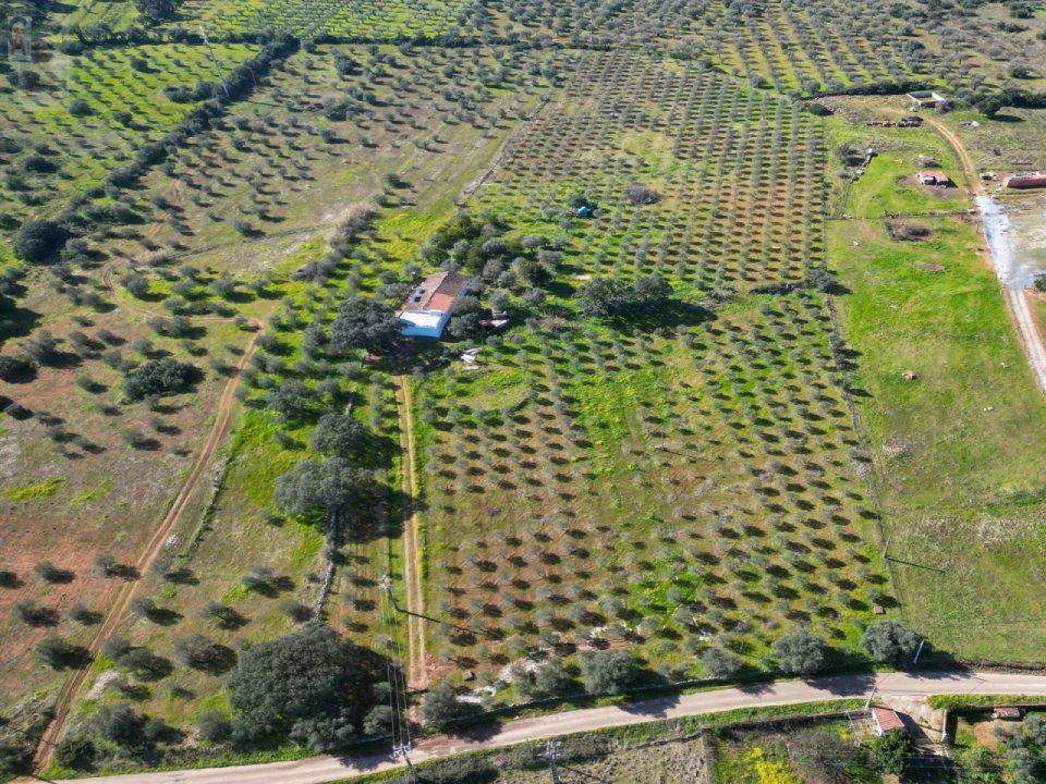 Quinta T2 para Venda em São Bras e São Lourenço Foto 11
