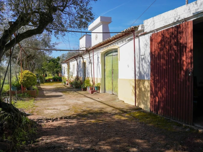 Quinta T2 para Venda em São Bras e São Lourenço Foto 7