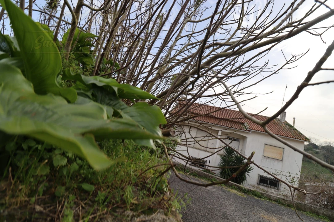 Moradia T3 para Venda em Dois Portos e Runa Foto 18