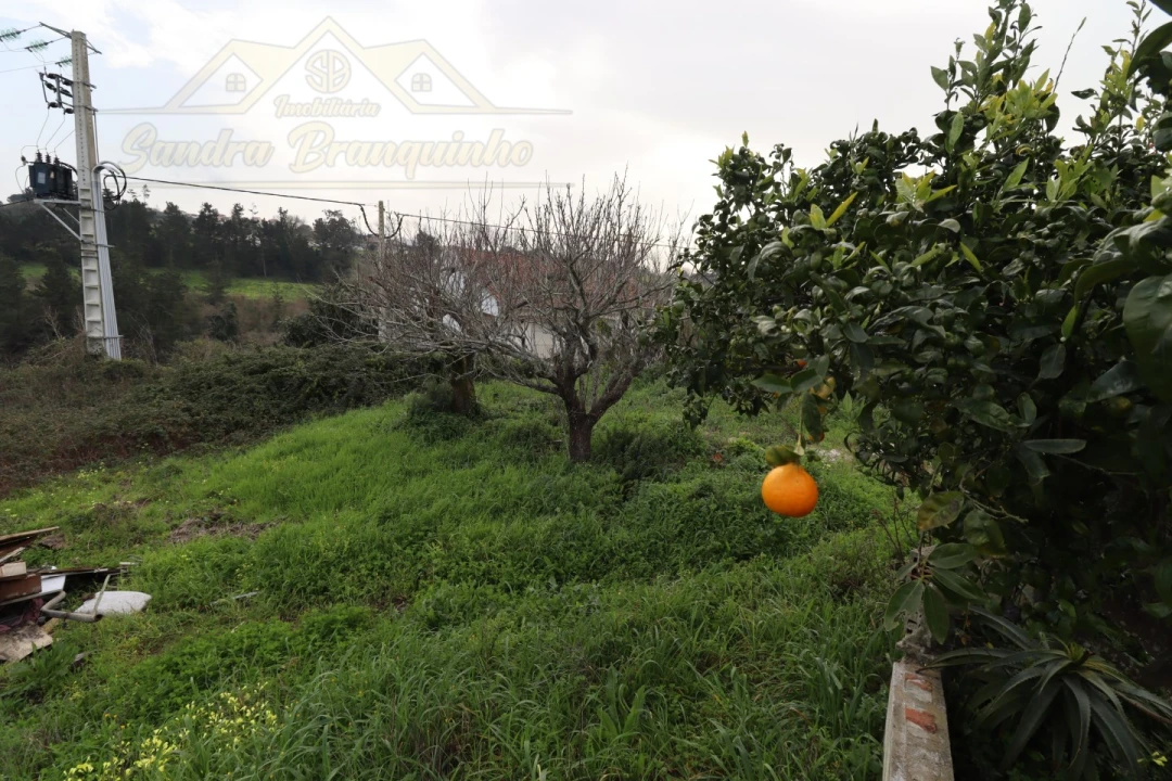 Moradia T3 para Venda em Dois Portos e Runa Foto 35