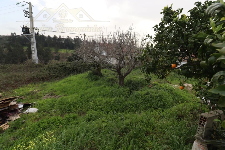 Moradia T3 para Venda em Dois Portos e Runa Foto 34