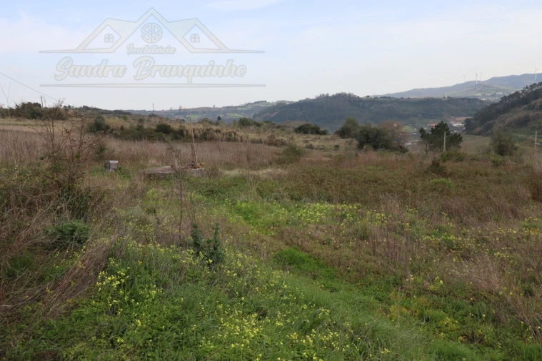 Moradia T3 para Venda em Dois Portos e Runa Foto 37