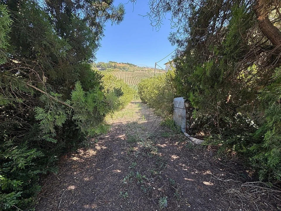 Armazém para Venda em Carvoeira e Carmões Foto 5