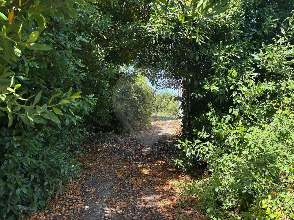 Armazém para Venda em Carvoeira e Carmões Foto 6