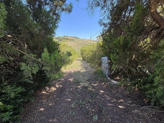 Armazém para Venda em Carvoeira e Carmões Foto 5