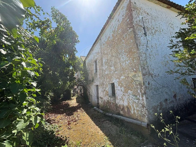 Armazém para Venda em Carvoeira e Carmões Foto 3