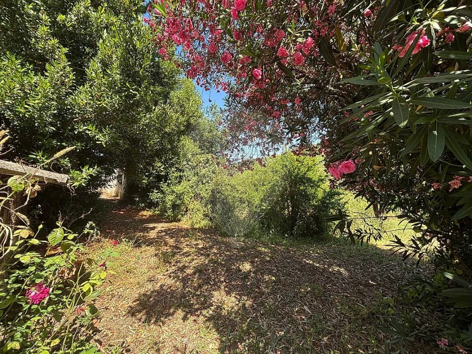 Armazém para Venda em Carvoeira e Carmões Foto 7