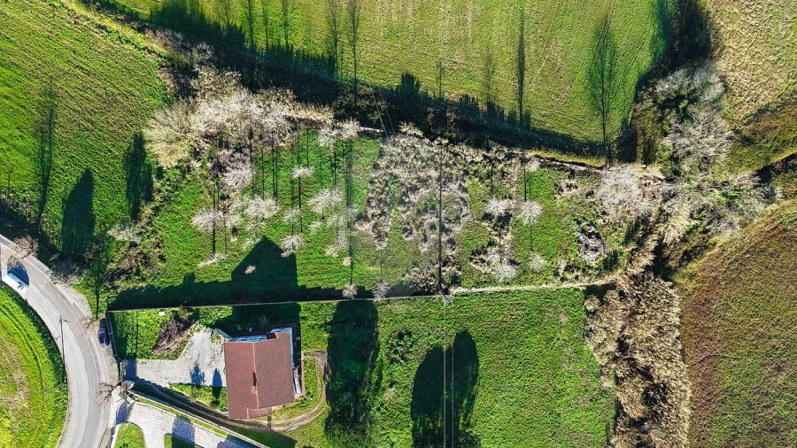 Terreno para Venda em Sobral de Monte Agraço Foto 18
