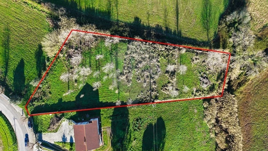 Terreno para Venda em Sobral de Monte Agraço
