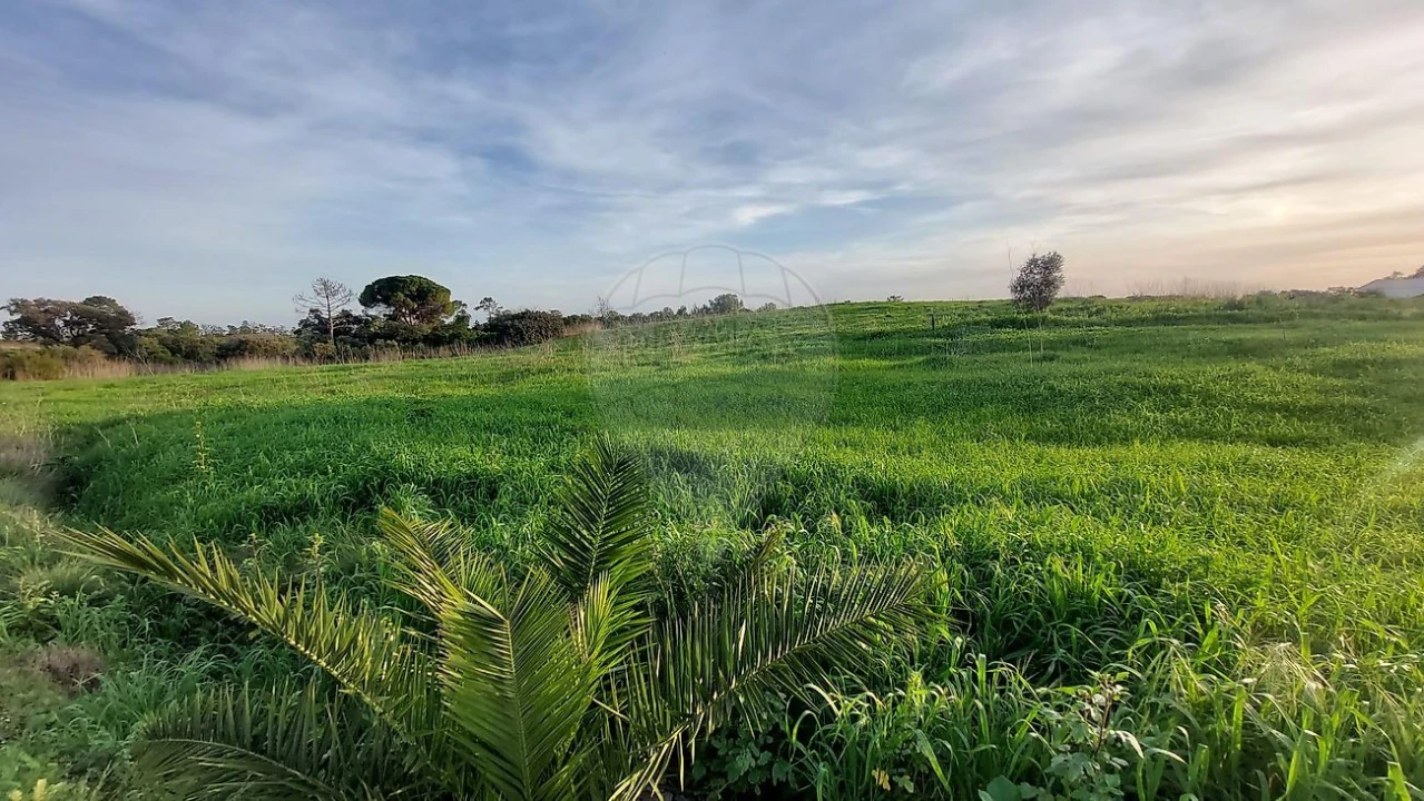 Terreno para Venda em Azambujeira e Malaqueijo Foto 4