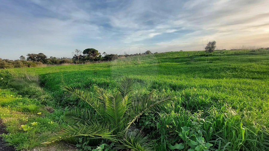 Terreno para Venda em Azambujeira e Malaqueijo Foto 15
