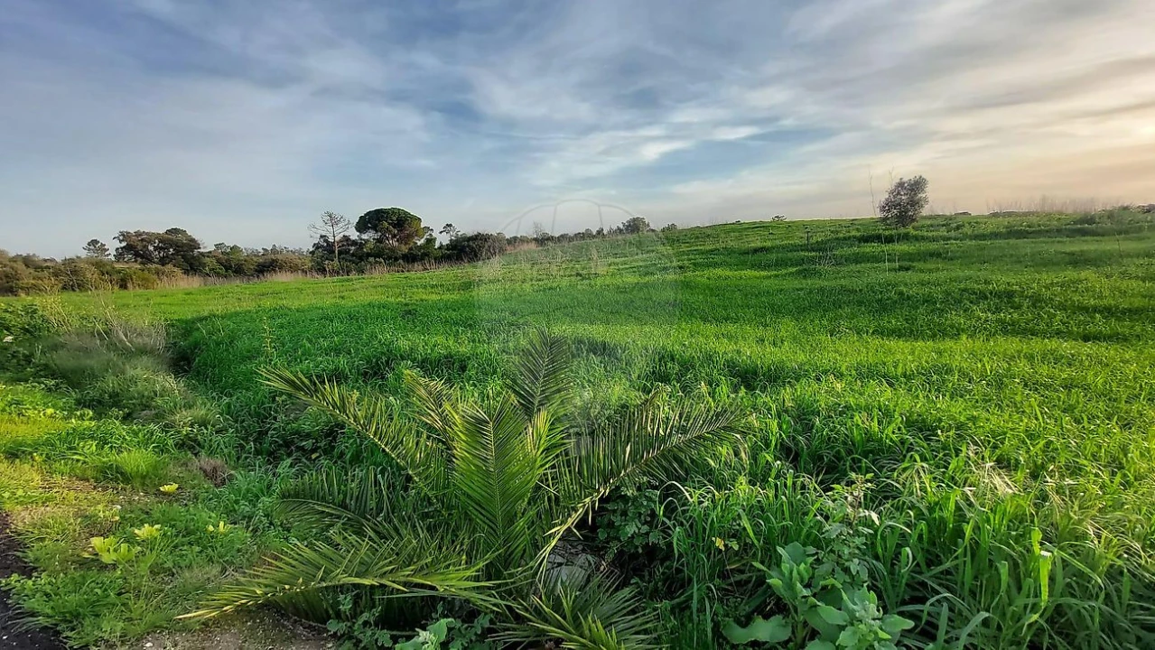 Terreno para Venda em Azambujeira e Malaqueijo Foto 15