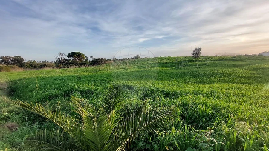Terreno para Venda em Azambujeira e Malaqueijo