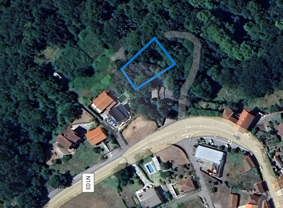 Terreno para Venda em Ruivães e Campos Foto 1