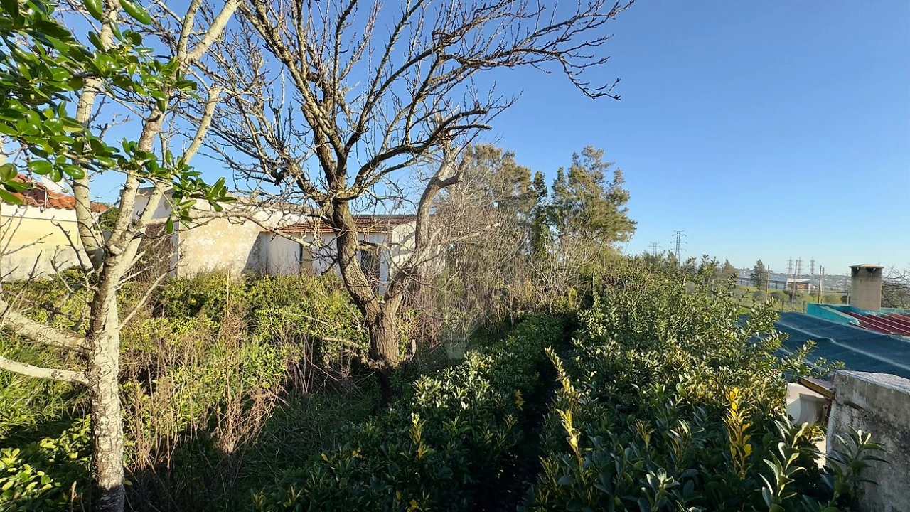Moradia T4 para Venda em Caparica e Trafaria Foto 13