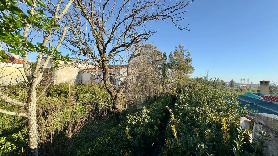 Moradia T4 para Venda em Caparica e Trafaria Foto 13