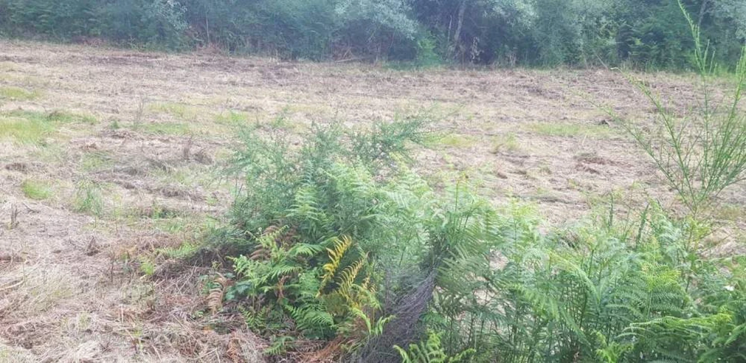 Terreno para Venda em Armil Foto 16