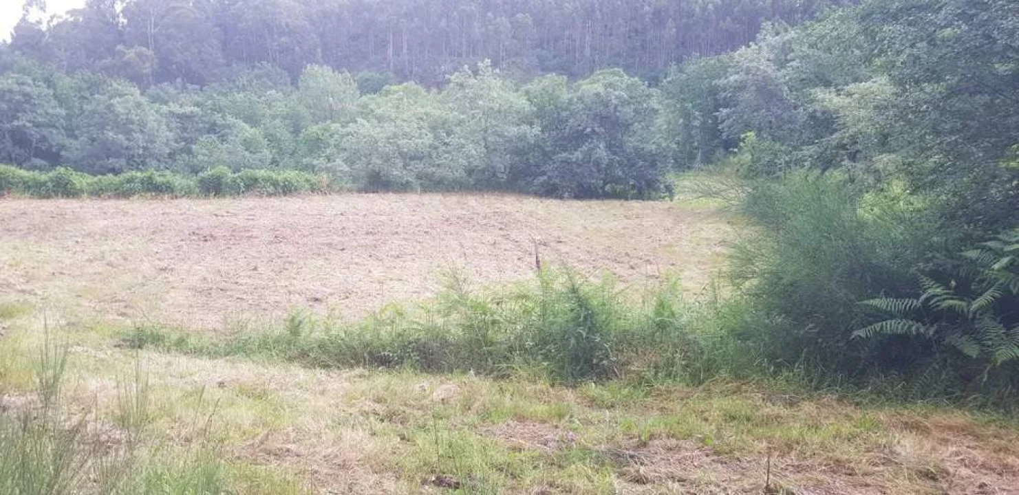 Terreno para Venda em Armil Foto 3