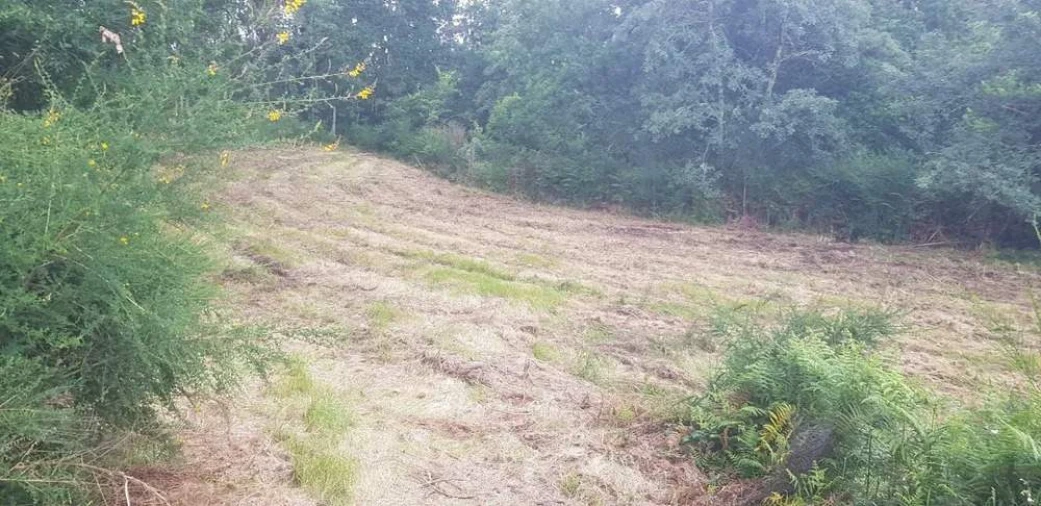 Terreno para Venda em Armil Foto 11