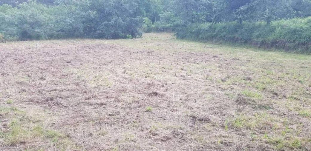 Terreno para Venda em Armil Foto 14