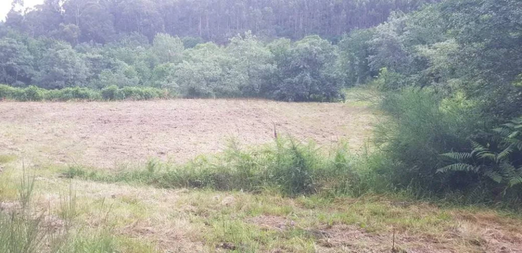 Terreno para Venda em Armil Foto 17