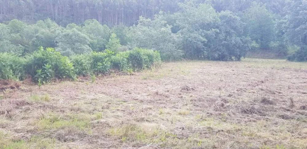 Terreno para Venda em Armil Foto 6